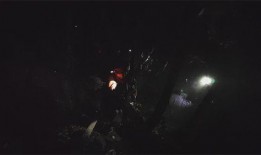 黑夜森林在线观看,探寻神秘森林的惊悚之旅